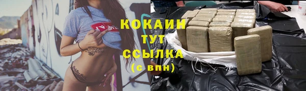 стаф Алзамай