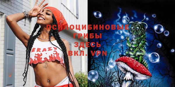 стаф Алзамай