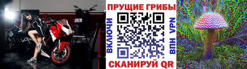 Купить где  Верхняя Салда  Псилоцибиновые грибы прущие грибы 
